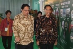 Pabrik Pupuk dan Petrokimia Siap Dibangun di Blok Masela
